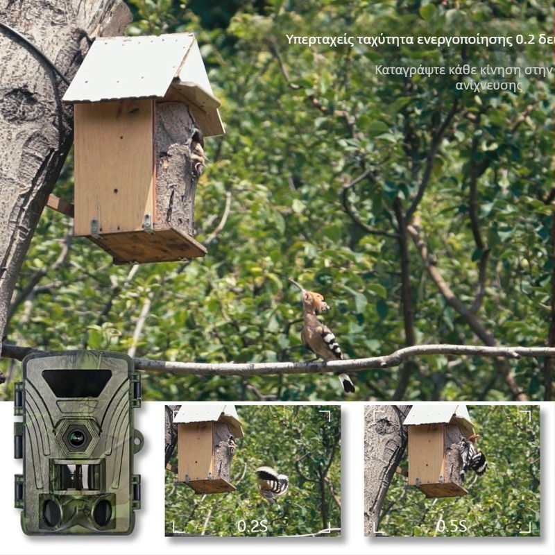 Κάμερα δράσης 8K υπερύθρων Wifi Pr802W Παρακολούθηση εξωτερικού χώρου Παρακολούθηση ζώων Παρακολούθηση ημέρας και νύχτας Φωτογραφία και βίντεο