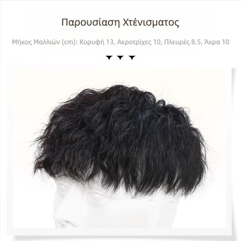 Ανδρική Περούκα από Αληθινά Μαλλιά με Επανέκδοση από Γκρι, Όμορφη, Leslie Roll Atmosphere σε Στυλ Χονγκ Κονγκ, σε απόθεμα