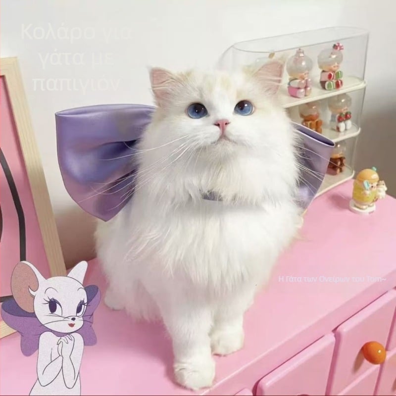 Χαριτωμένο γλυκό κολιέ Tom Cat με μωβ φιόγκο και λαιμόκοψη Girlfriend cos Tom Dream Cat
