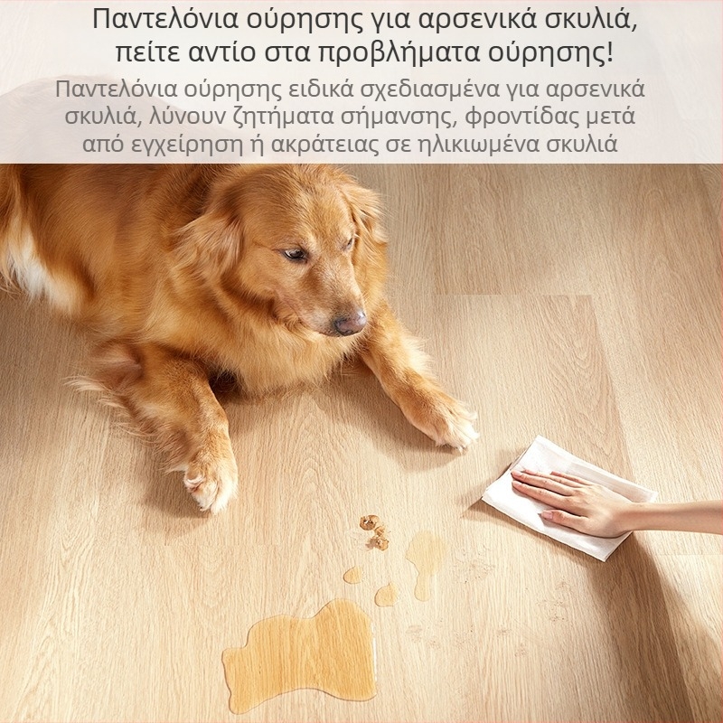 Αναπνεύσιμο και αδιάβροχο σακίδιο συλλογής ούρων για αρσενικούς σκύλους, αυτόματα εσώρουχα συλλογής ούρων για αρσενικούς σκύλους, ρυθμιζόμενα εσώρουχα κατοικίδιων με ελαστική ταινία