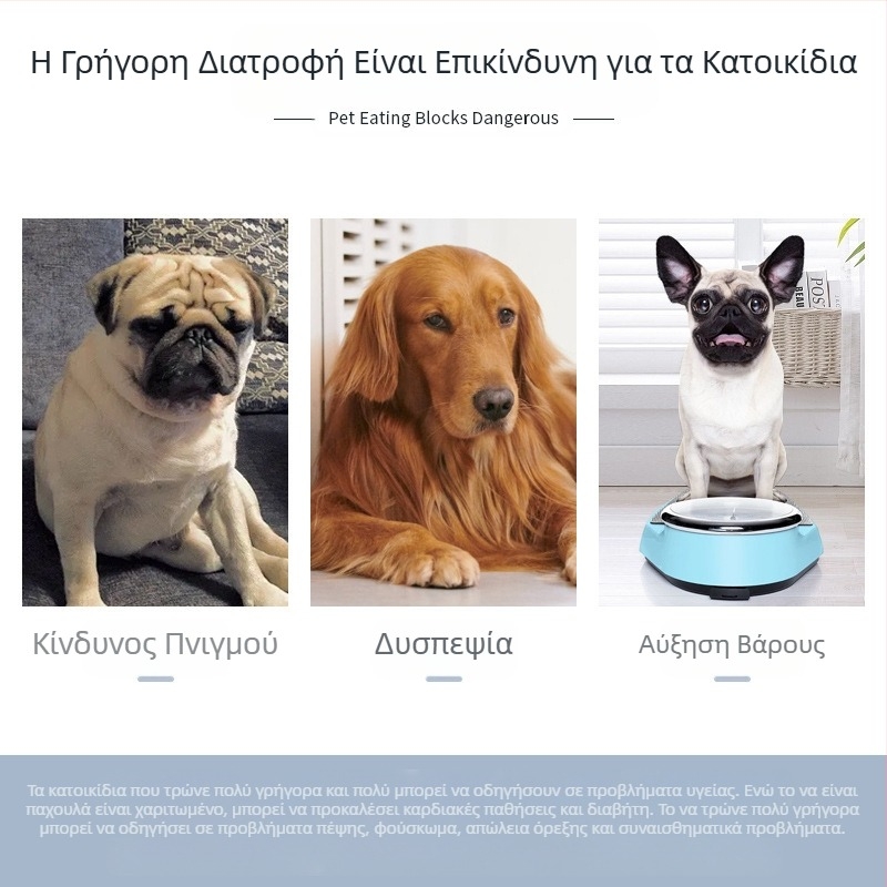 Ταΐστρα αργής τροφοδοσίας κατοικίδιων με αντιπνιγμό, μπολ αργής τροφοδοσίας σιλικόνης με βεντούζα, γενικής χρήσης για γάτες και σκύλους, αντιπνιγμός, αργή τροφοδοσία