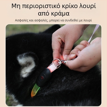 Έτοιμο από τον κατασκευαστή, επίπεδη λωρίδα πλήρους σώματος με φωτεινό LED κολάρο νυχτερινής προειδοποίησης για σκύλους, αντι-χαμένο κολάρο λαιμού, που μπορεί να κοπεί σε λουρί σκύλου Flash