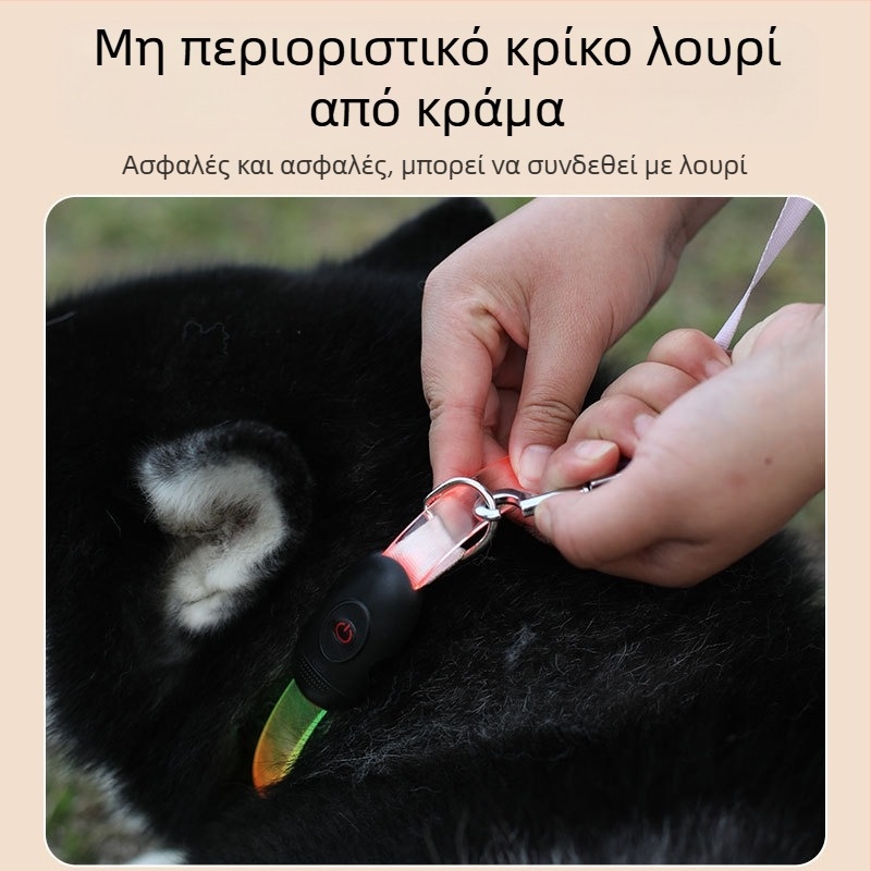 Έτοιμο από τον κατασκευαστή, επίπεδη λωρίδα πλήρους σώματος με φωτεινό LED κολάρο νυχτερινής προειδοποίησης για σκύλους, αντι-χαμένο κολάρο λαιμού, που μπορεί να κοπεί σε λουρί σκύλου Flash