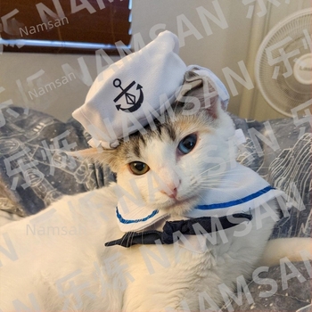 Νέα ρούχα για κατοικίδια, σκύλος, γάτα, καπέλο, ναυτικό, ναυτικό κοστούμι, ναυτικό κοστούμι, κατασκευαστής μανδύα