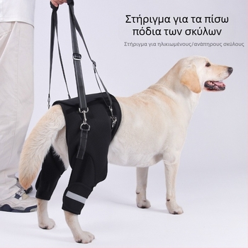 Ζώνη οπίσθιου ποδιού σκύλου για διασυνοριακή χρήση για ηλικιωμένους σκύλους, Αποκατάσταση σκύλων με αναπηρία, Χονδρική πώληση σχοινιών έλξης για ανύψωση οπίσθιων ποδιών