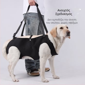 Νέα Ζώνη Πρόσβασης για Ηλικιωμένους Σκύλους, Σκύλους με Αναπηρία, Ταξίδια Αποκατάστασης, Ρυθμιζόμενο Σχοινί Πρόσφυσης για Στήθος και Πλάτη Χονδρική από την Amazon