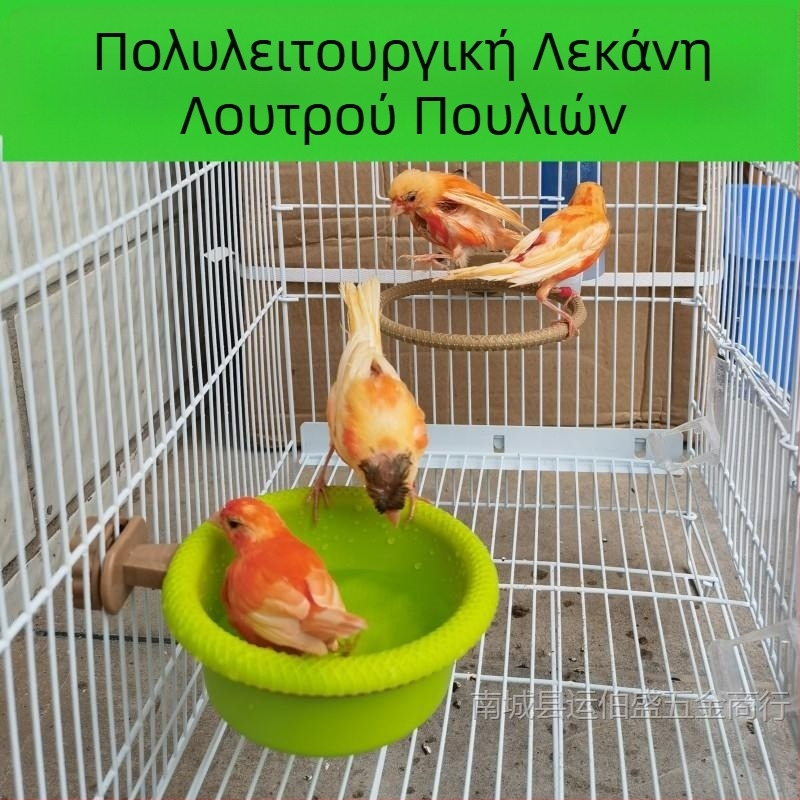 Λεκάνη για πουλιά, μπανιέρα, νεφρίτης, πουλί, ιβίσκος, πουλί, χρυσοπράσινο, γκρι, μεγάλο, χρυσό, υλικό κάνναβης, παιωνία, παπαγαλάκια