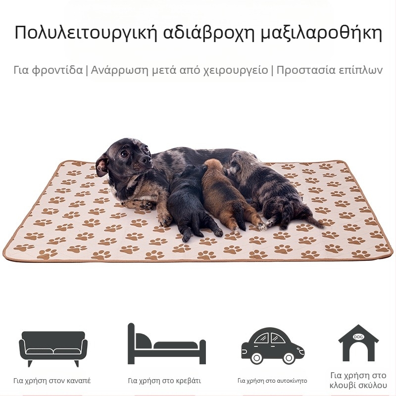 Μαξιλάρι πάνας για κατοικίδια, πλενόμενο, αντιολισθητικό, πάνα για γάτες και σκύλους, επαναλαμβανόμενης απορρόφησης, πάνα εκπαίδευσης για σκύλους
