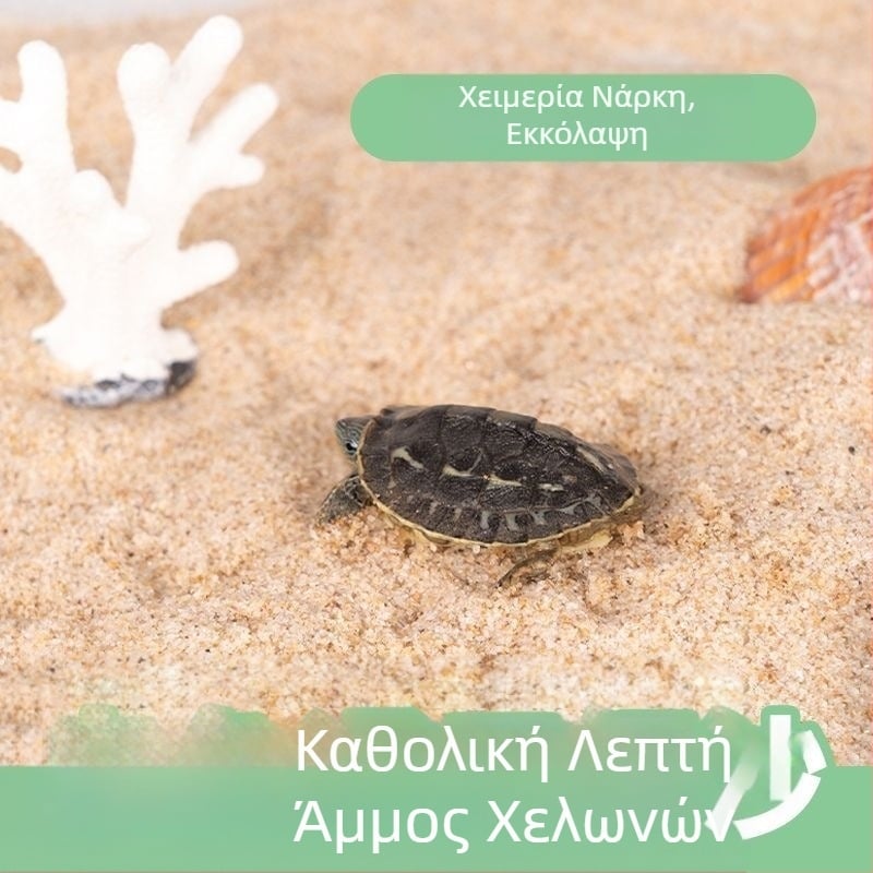 Άμμος του ποταμού χελώνας, κρυστάλλινη λεπτή άμμος, άμμος βυθού ενυδρείου, άμμος διαμόρφωσης τοπίου, διακοσμητική άμμος ενυδρείου χελώνας, ειδική άμμος, άμμος από σίδηρο, άμμος από χολή, πέτρινος βυθός