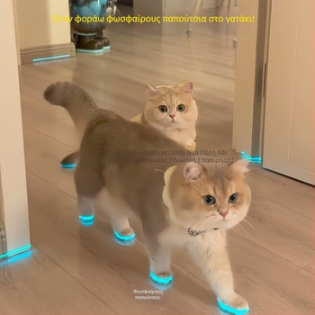 Παπούτσια Luminous για Γάτες, Παπούτσια για Σκύλους, Σφυρίχτρα, Παιδικά Παιχνίδια Luminous, Αξεσουάρ Νυχτερινής Φωτογραφίας, Ντύσιμο Γάτας