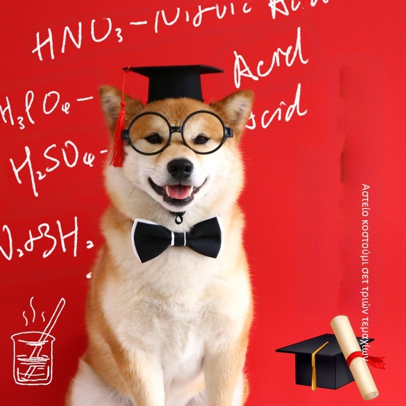 Φωτογραφία κατοικίδιων ζώων Καπέλο γιατρού Σετ αποφοίτησης Γάτα Σκύλος Γυαλιά Παπιγιόν Φόρεμα πάρτι για άνδρες Στηρίγματα τσόχας