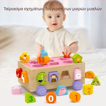 Παζλ για παιδιά 1-3 ετών, παιδικά παιχνίδια που διεγείρουν τον εγκέφαλο για αγόρια και κορίτσια, τουβλάκια δόμησης που ταιριάζουν με το σχήμα τους
