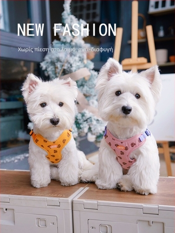 Γιλέκο με λουρί σκύλου, λουρί για περπάτημα, μικρό σκυλί, μεσαίο λουρί στο στήθος, λουρί σκύλου, αλυσίδα για σκύλους με βελούδο