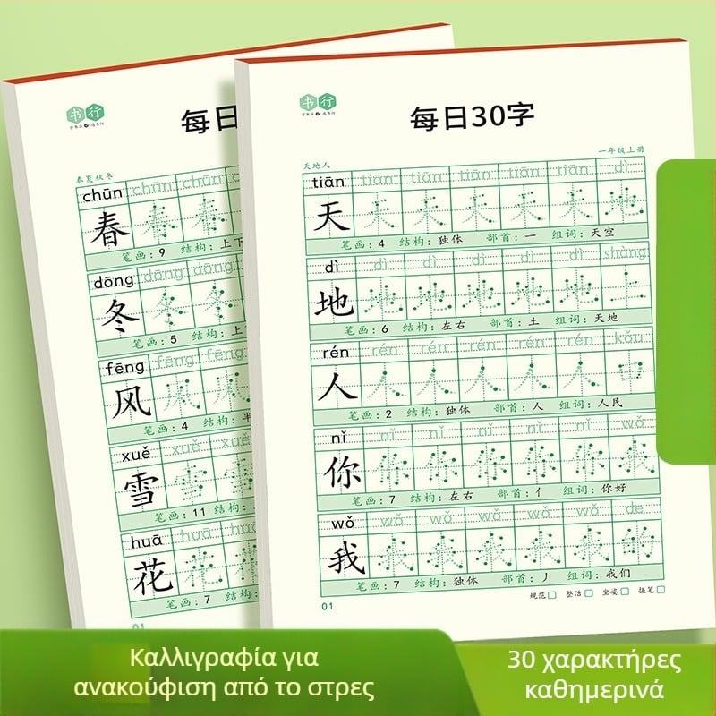 [Τετράδιο σύγχρονης αποσυμπίεσης 30 λέξεων την ημέρα] Dot Matrix Νέες λέξεις Μαθητές δημοτικού σχολείου 1-6 τάξης Κινεζική ζωγραφική κόκκινο βιβλίο εξάσκησης καλλιγραφίας