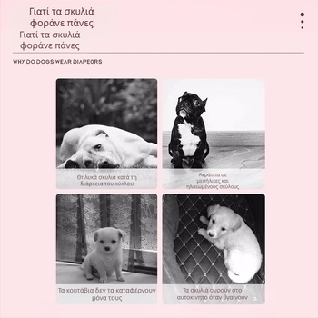 Φυσιολογικά εσώρουχα σκύλων, πάνες για θηλυκά και αρσενικά σκυλιά, σερβιέτες κατοικίδιων, αναπνεύσιμα εσώρουχα έλξης