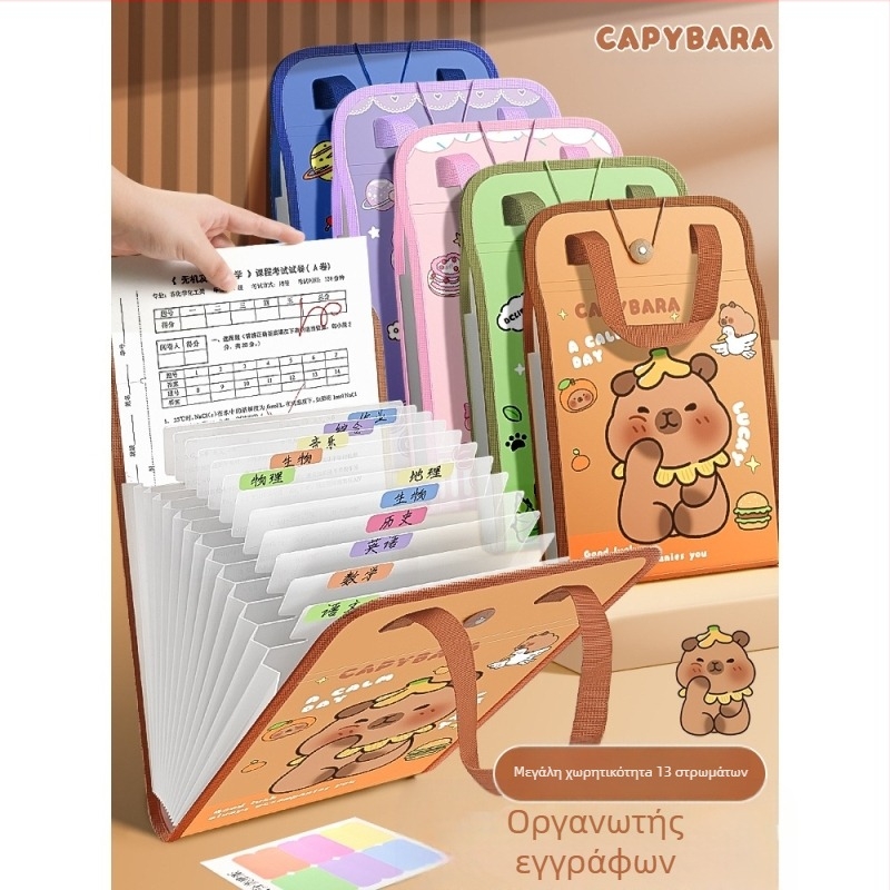 Τσάντα χειρός A4, τσάντα εγγράφων, τσάντα εκκλησιαστικού οργάνου 13 τεμαχίων, τσάντα τεστ, πολλαπλές στρώσεις, μεγάλης χωρητικότητας, αποθήκευση χαρτιού χειρός για μαθητές δημοτικού σχολείου