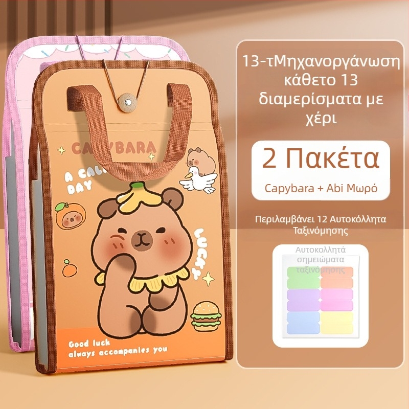 Τσάντα χειρός A4, τσάντα εγγράφων, τσάντα εκκλησιαστικού οργάνου 13 τεμαχίων, τσάντα τεστ, πολλαπλές στρώσεις, μεγάλης χωρητικότητας, αποθήκευση χαρτιού χειρός για μαθητές δημοτικού σχολείου