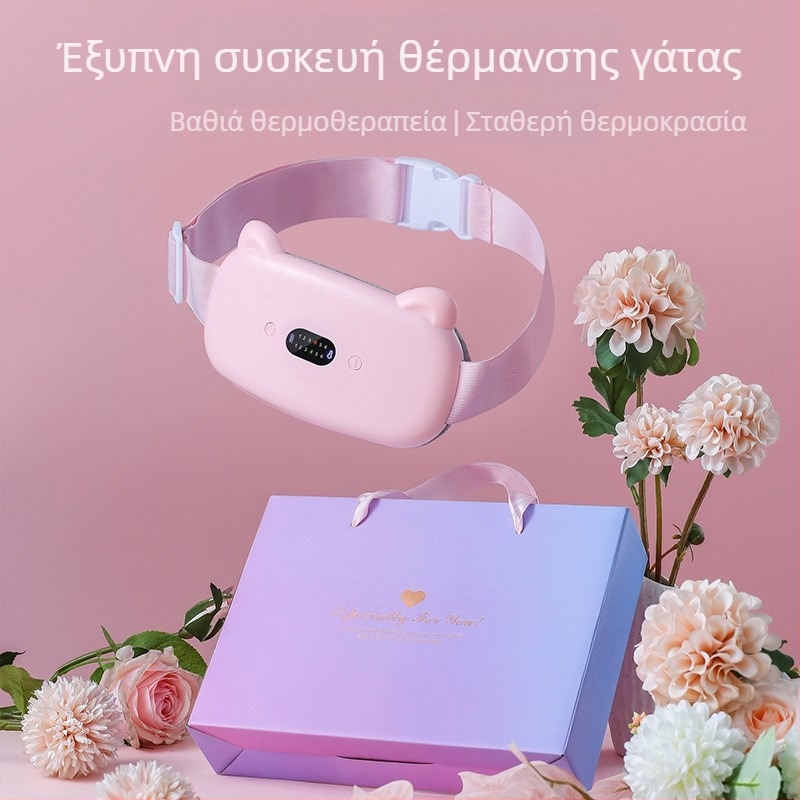 Ηλεκτρική θέρμανση ζεστή ζώνη παλατιού φόρτιση μεγάλη θεία ζεστή παλάτι θησαυρός στομαχόπονος τεχνούργημα δώρο γενεθλίων για δώρο κοπέλας και συζύγου