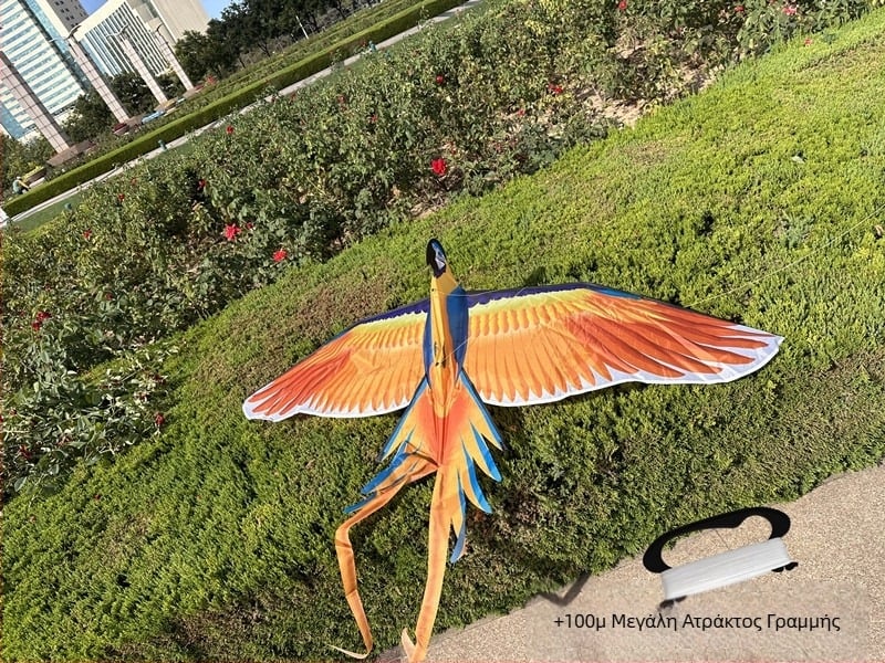 Νέος Χαρταετός Προσομοίωσης Παιδιών Eagle Flying Bird Breeze Εύκολο στην Πτήση Χονδρικής Δυναμικός Χαρταετός Προσομοίωσης Weifang Kite Manufacturer