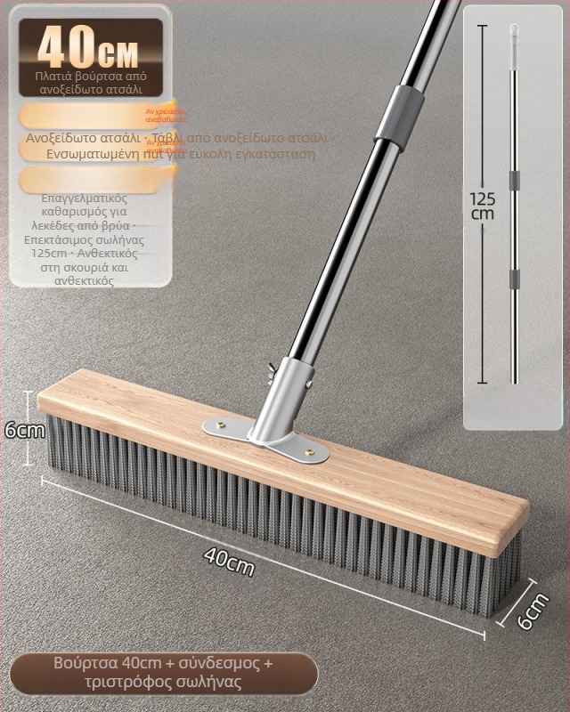 Βούρτσα δαπέδου από ανοξείδωτο ατσάλι με μακριά λαβή για εξωτερική αφαίρεση βρύων