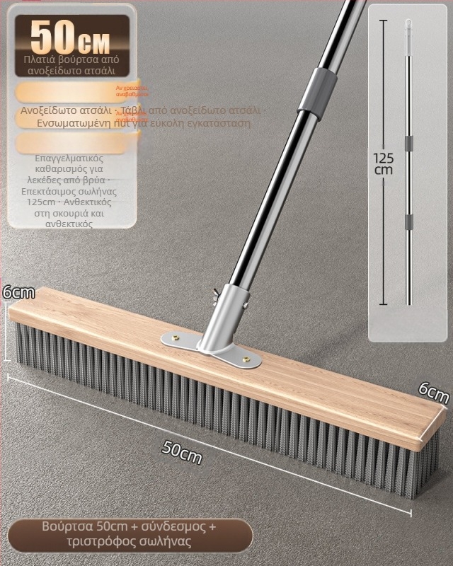 Βούρτσα δαπέδου από ανοξείδωτο ατσάλι με μακριά λαβή για εξωτερική αφαίρεση βρύων