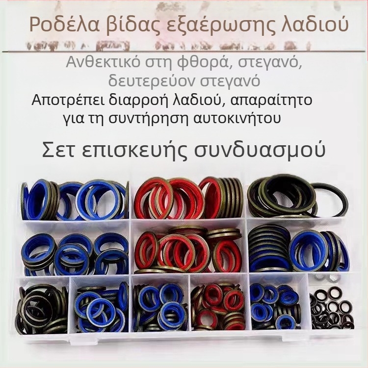 Σετ επισκευής συνδυασμένων παρεμβυσμάτων και Ο-δακτυλιδιών για M6-16 και M6-30, σε μεγάλη θήκη
