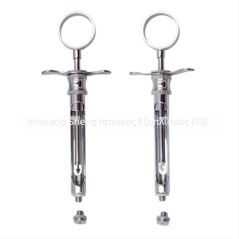 Οδοντιατρική σύριγγα με δύο κεφαλές: άγκιστρο και αιχμηρή άκρη, ανοξείδωτο εργαλείο οδοντιατρικής