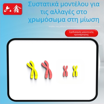 Liuxin διδακτικό εργαλείο: Μοντέλο αλλαγής χρωμοσωμάτων στη μίωση με μαγνητική προσρόφηση
