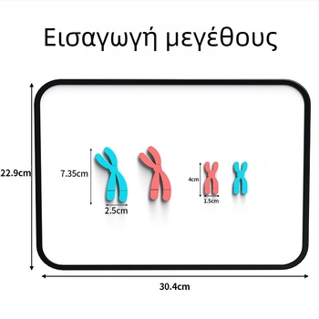 Liuxin διδακτικό εργαλείο: Μοντέλο αλλαγής χρωμοσωμάτων στη μίωση με μαγνητική προσρόφηση