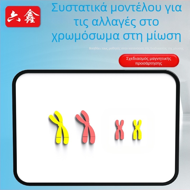 Liuxin διδακτικό εργαλείο: Μοντέλο αλλαγής χρωμοσωμάτων στη μίωση με μαγνητική προσρόφηση