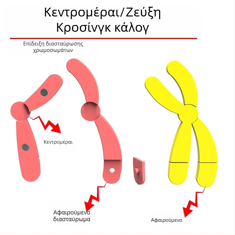 Liuxin διδακτικό εργαλείο: Μοντέλο αλλαγής χρωμοσωμάτων στη μίωση με μαγνητική προσρόφηση