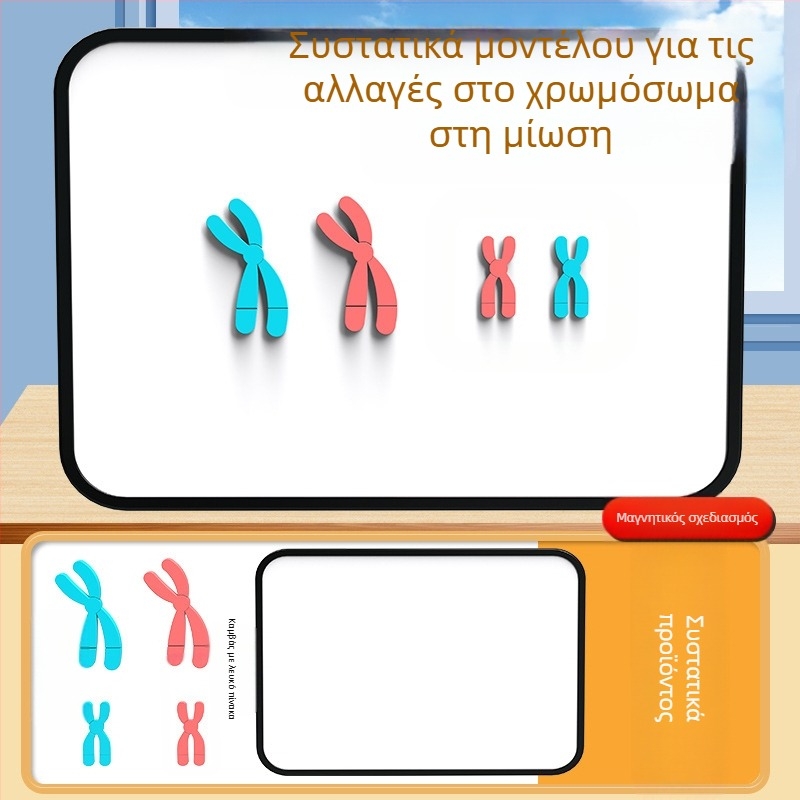 Liuxin διδακτικό εργαλείο: Μοντέλο αλλαγής χρωμοσωμάτων στη μίωση με μαγνητική προσρόφηση