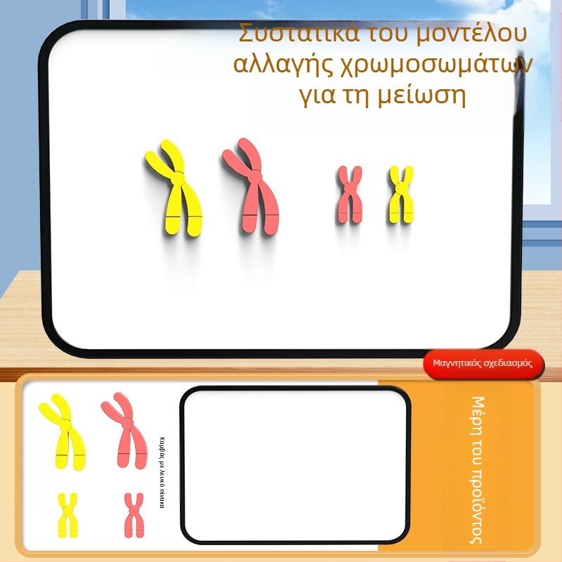 Liuxin διδακτικό εργαλείο: Μοντέλο αλλαγής χρωμοσωμάτων στη μίωση με μαγνητική προσρόφηση