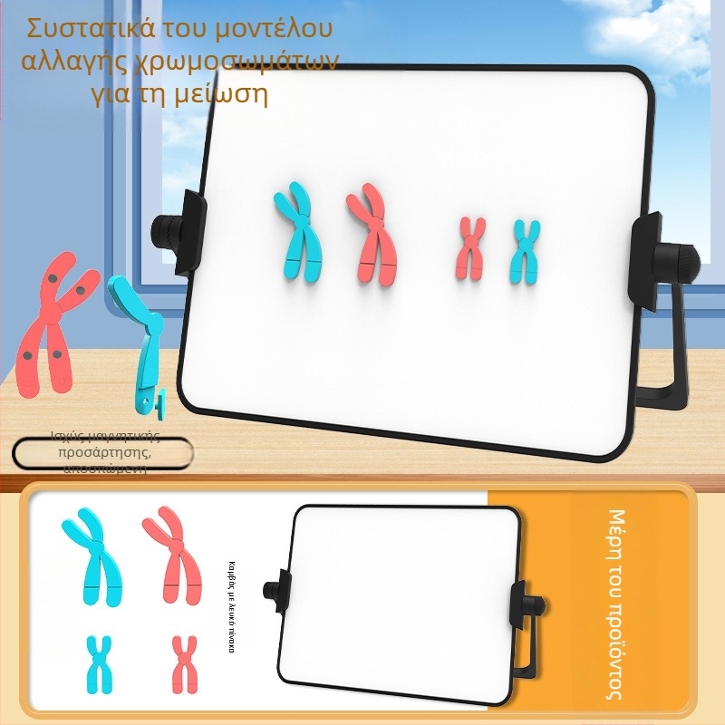 Liuxin διδακτικό εργαλείο: Μοντέλο αλλαγής χρωμοσωμάτων στη μίωση με μαγνητική προσρόφηση