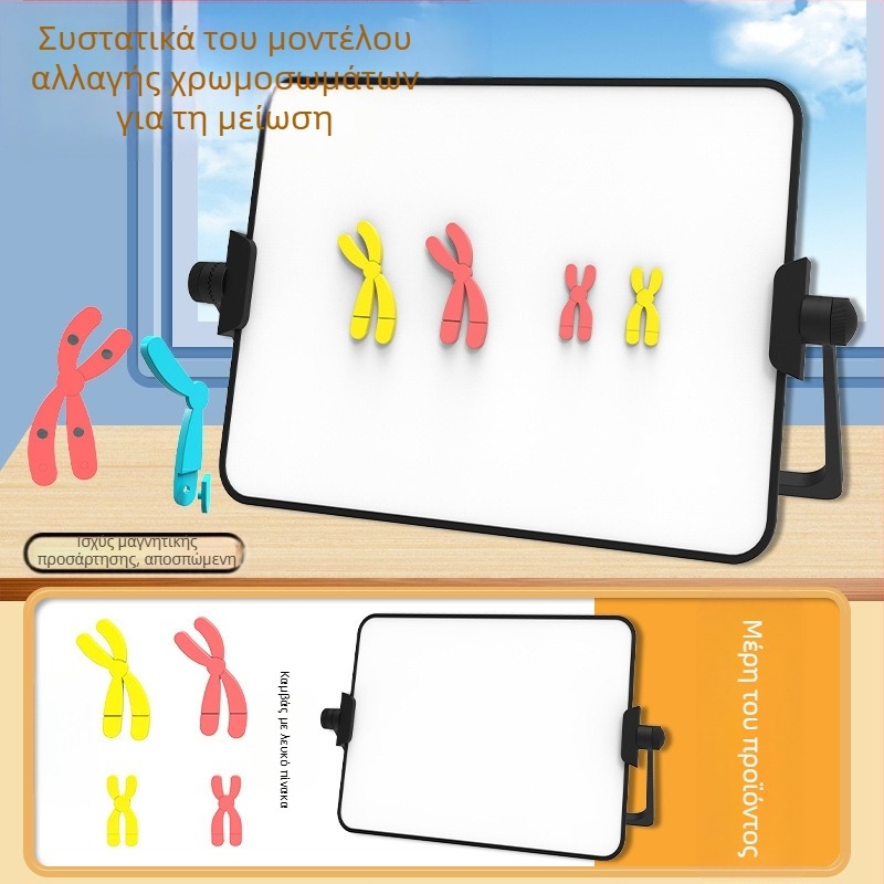 Liuxin διδακτικό εργαλείο: Μοντέλο αλλαγής χρωμοσωμάτων στη μίωση με μαγνητική προσρόφηση