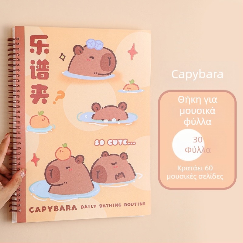 Πλαστικός φάκελος για παρτιτούρες με κλιπ, ματ φινίρισμα, προσαρμόσιμος, χωρητικότητα 20 σελίδων, πάχος 14C