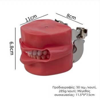 Μοντέλο εκπαίδευσης προετοιμασίας δοντιών με πλήρες οδοντικό τόξο, αποσπώμενα δόντια και μοντέλο προσώπου και κεφαλής για διδακτικές επιδείξεις