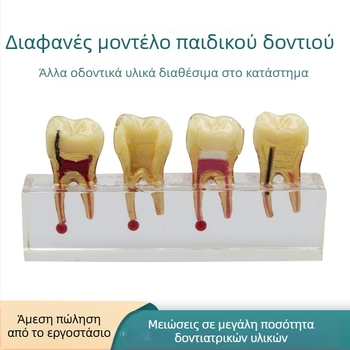 Μοντέλο διδασκαλίας οδοντιατρικής για παιδικά πρωτεύοντα δόντια με τερηδόνα και αποκατάσταση πολφού, GC OEM, 108 g, Barcode 236, Εισαγόμενο: Όχι