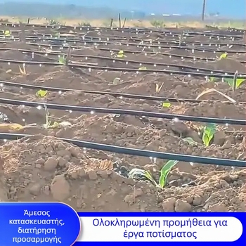 Λωρίδα ποτίσματος Patch-Type διπλής οπής για θερμοκήπια (λαχανικά, πιπεριές, φράουλες) – Golden Autumn