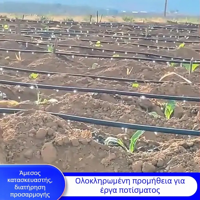 Λωρίδα ποτίσματος Patch-Type διπλής οπής για θερμοκήπια (λαχανικά, πιπεριές, φράουλες) – Golden Autumn