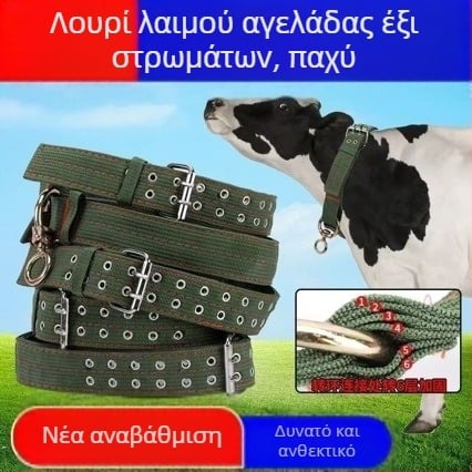Πυκνωμένος κολάρος λαιμού για βοοειδή, χαλτέρ και σχοινί, κτηνοτροφία