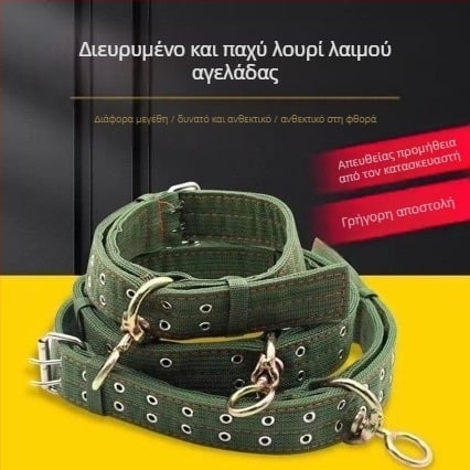 Πυκνωμένος κολάρος λαιμού για βοοειδή, χαλτέρ και σχοινί, κτηνοτροφία
