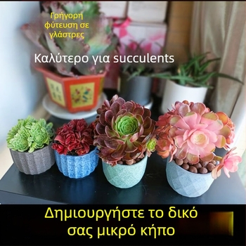 Κεραμική γλάστρα για παχύφυτα, διαπνέουσα και ανθεκτική, ψημένη σε υψηλή θερμοκρασία, για γραφείο ή οικιακή χρήση