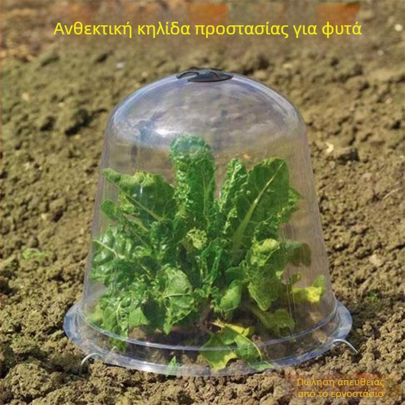 Απομονωμένη διαφανής κάλυψη σπορόφυτών φρούτων και λαχανικών, σετ 3 τμημάτων από πλαστικό, προστασία από παγετό και πουλιά