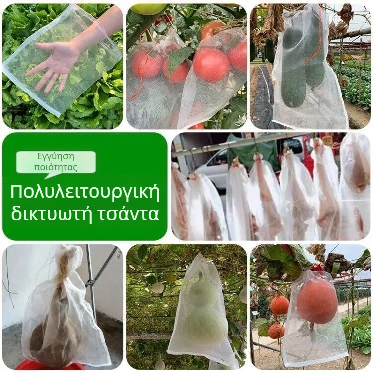 Διχτυωτή σακούλα φρούτων για προστασία από έντομα και πουλιά, για σταφύλια, ρόδι, φράουλες και σύκα; υλικό: μεταξωτό λουλούδι; κωδικός προϊόντος: F99hj6t9ssh77; στιλ: άλμπουμ.