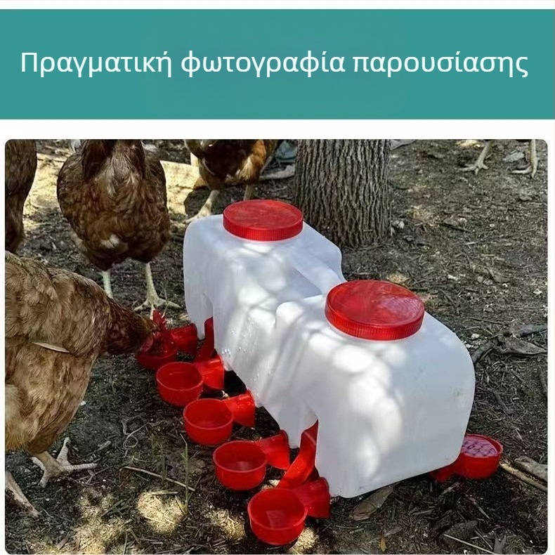 Πτηνοτροφική ποτίστρα με αυτόματο δοχείο ποτίσματος για κοτόπουλα, πάπιες και χήνες — έτοιμη για ετικέτα