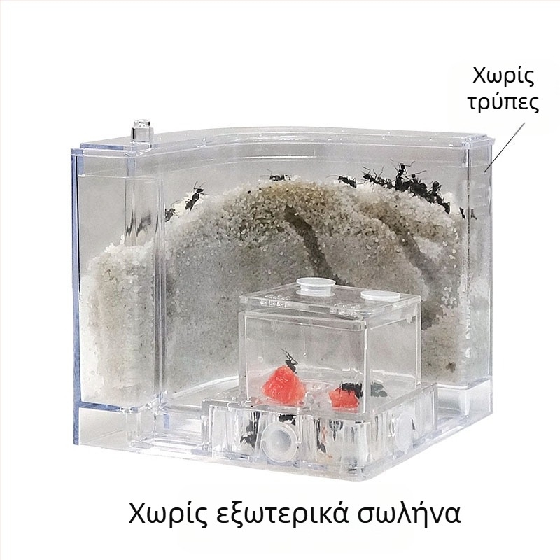 Φάρμα μυρμηγκιών παρατήρησης με δεξαμενή τροφοδοσίας, βάση βίλας και σχέδιο κάστρου (Προέλευση: Άλλο; Εισαγωγή: Όχι; Προορίζεται για: Άλλο; Μάρκα: Άλλο)