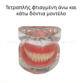 Μοντέλο οδοντικής εμφύτευσης για εξάσκηση – άνω και κάτω γνάθος, ημι-στόμα με 2 ή 4 εμφυτεύματα
