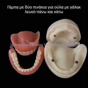 Μοντέλο οδοντικής εμφύτευσης για εξάσκηση – άνω και κάτω γνάθος, ημι-στόμα με 2 ή 4 εμφυτεύματα