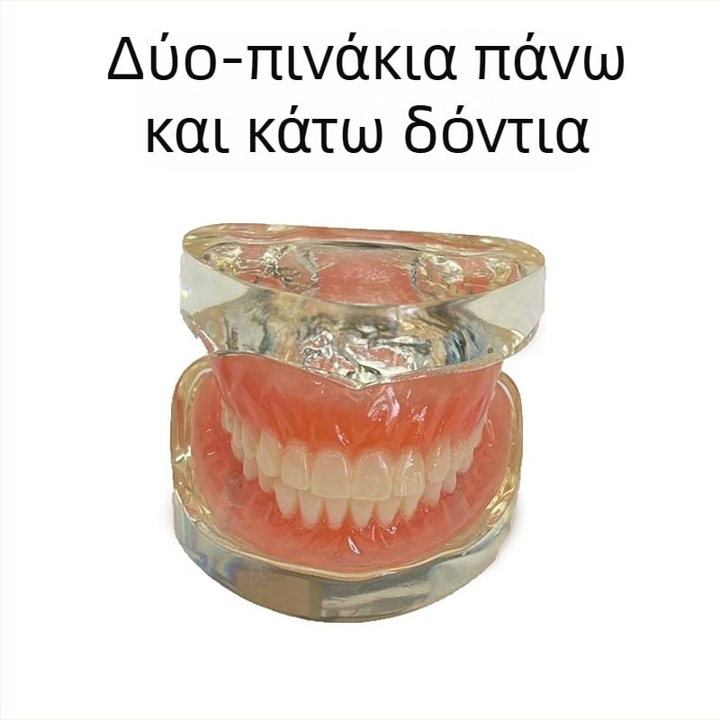 Μοντέλο οδοντικής εμφύτευσης για εξάσκηση – άνω και κάτω γνάθος, ημι-στόμα με 2 ή 4 εμφυτεύματα